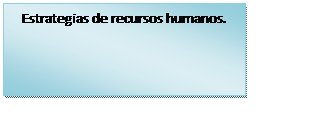 Cuadro de texto: Estrategias de recursos humanos.