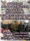 ANLISIS DE LAS PROBLEMTICAS FINANCIERAS, ESTRATGICAS Y COMERCIALES DE LAS EMPRESAS DE CELAYA  