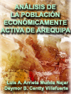 ANLISIS DE LA POBLACIN ECONMICAMENTE ACTIVA DE LA PROVINCIA DE AREQUIPA - 2004 