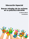 EDUCACIÓN ESPECIAL. Breves miradas de los actores en su práctica docente