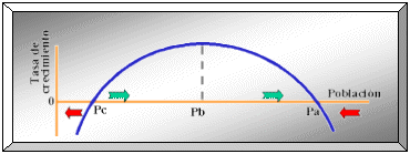 Pulsar para ver una presentación multimedia (114Kb)