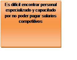 Cuadro de texto: Es difícil encontrar personal especializado y capacitado por no poder pagar salarios competitivos