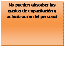 Cuadro de texto: No pueden absorber los gastos de capacitación y actualización del personal