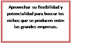 Proceso: Aprovechar su flexibilidad y potencialidad para buscar los nichos que se producen entre las grandes empresas.