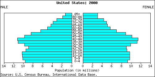 piramide-usa.gif (3193 bytes)