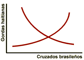 Mercados de divisas