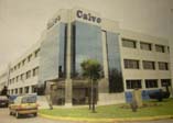Conservas Calvo