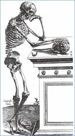 http://www.portalesmedicos.com/images/publicaciones/vesalio_0607/vesalio2.jpg