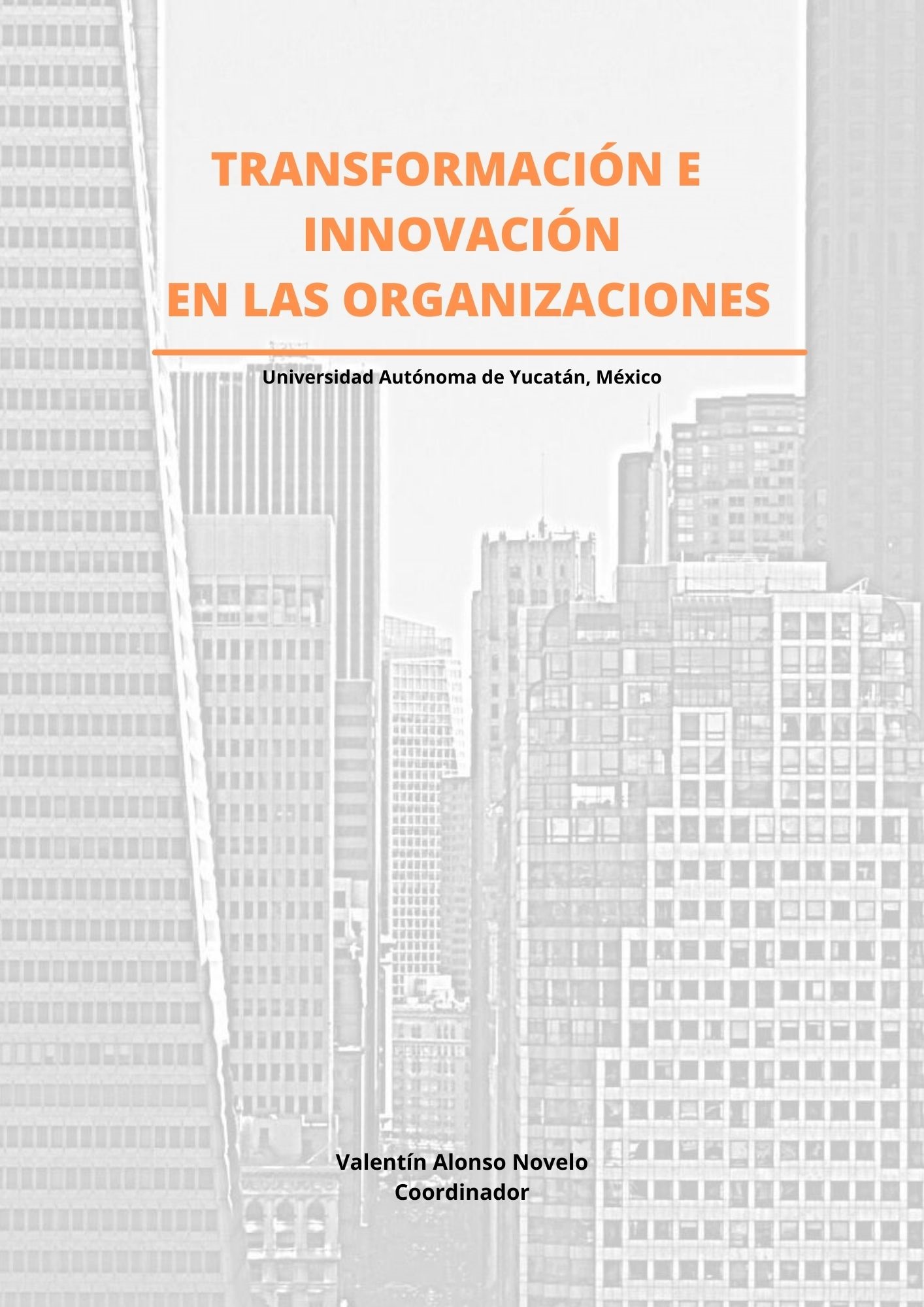 TRANSFORMACIÓN E INNOVACIÓN EN LAS ORGANIZACIONES