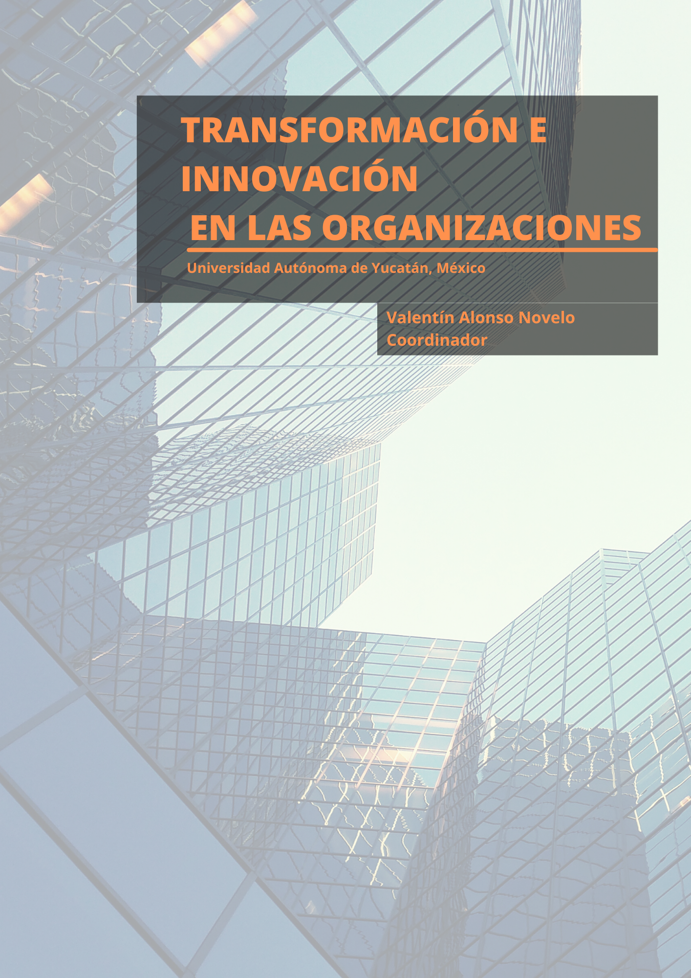 TRANSFORMACIÓN E INNOVACIÓN EN LAS ORGANIZACIONES